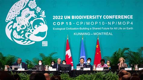 La Conferenza sulla Biodiversità: Una Scommessa Ardua per il Futuro del Pianeta e le Speranze di un Mondo Sostenibile